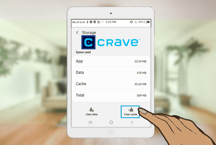 Crave Error Code 246008? - (6 Proven Solutions!) 5 clearing the app cache on your device