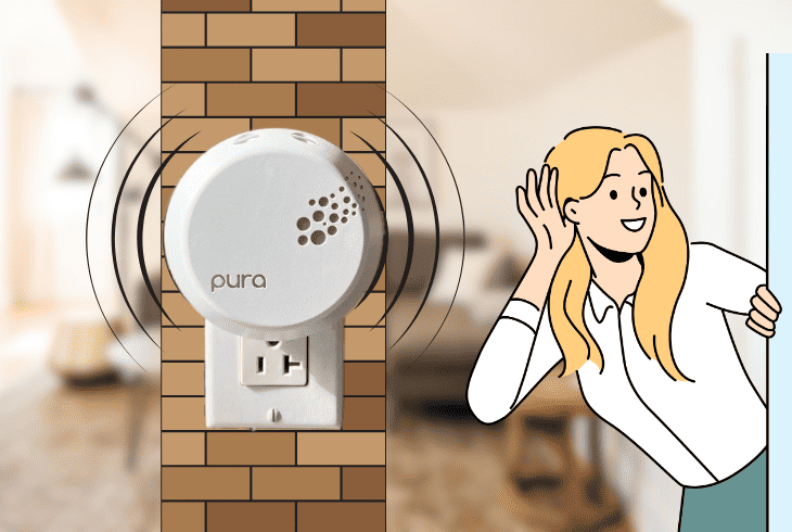 covering first the pura basics